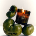 Flamingo Estate Roma Heirloom Tomato Candle - theskinward