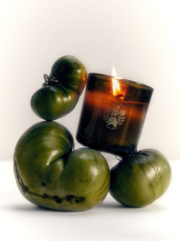 Flamingo Estate Roma Heirloom Tomato Candle - theskinward
